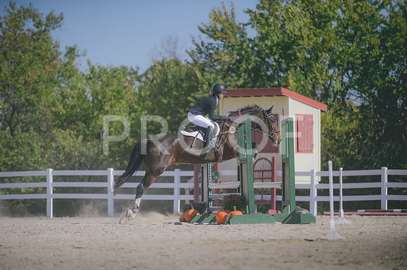JJS_3402