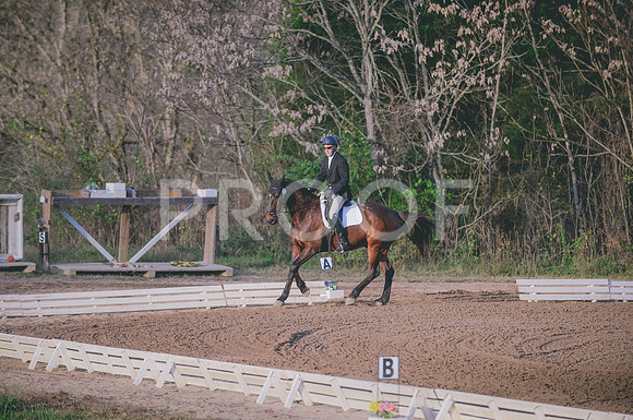 JJS_2842