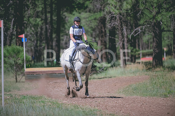 JJS_2921