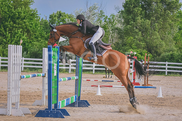 DSC_6653 copy