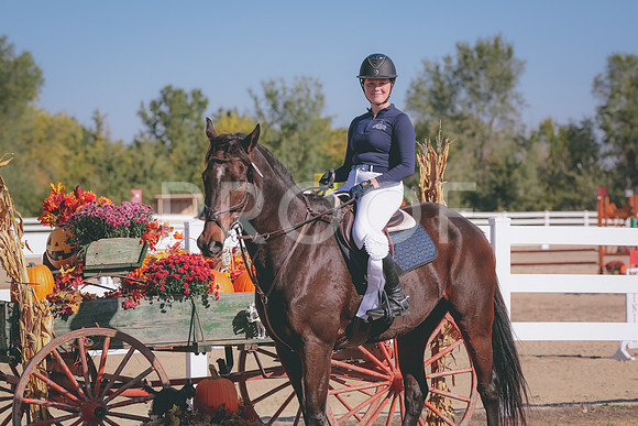 4HLJ7439