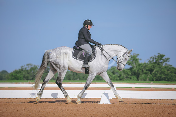 RWP_3807