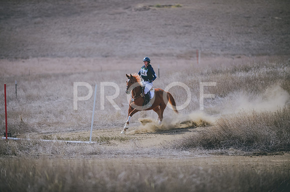 JJS_0226