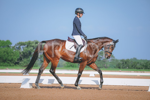 RWP_3833