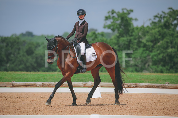 RWP_4513
