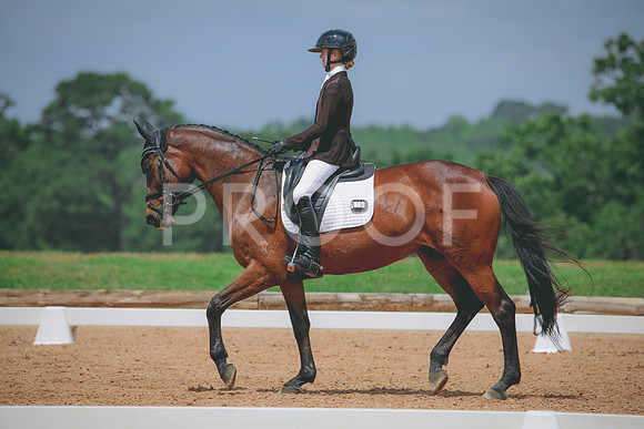 RWP_4509