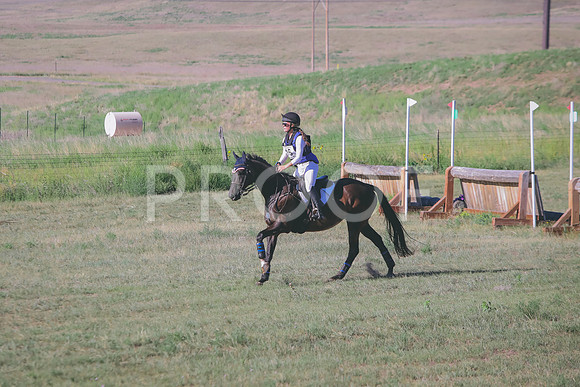 CDH_8303