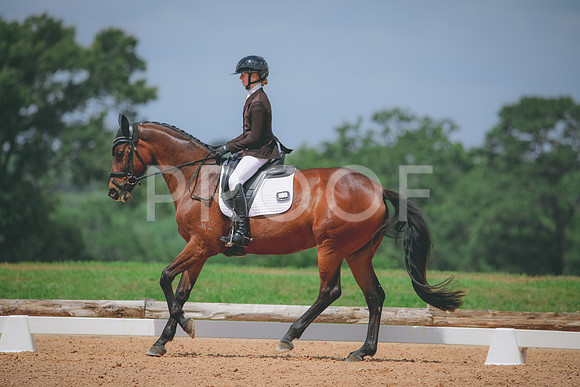 RWP_4521