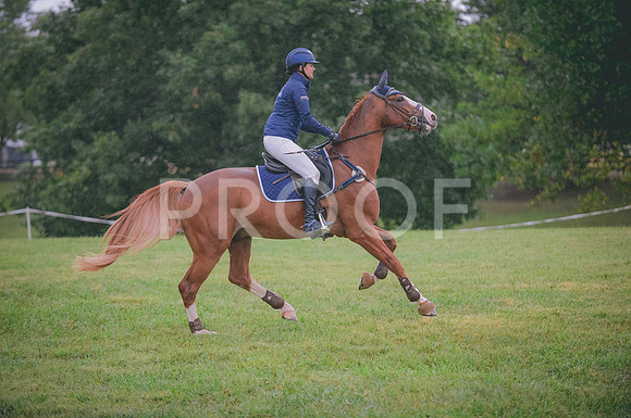 JJS_9017