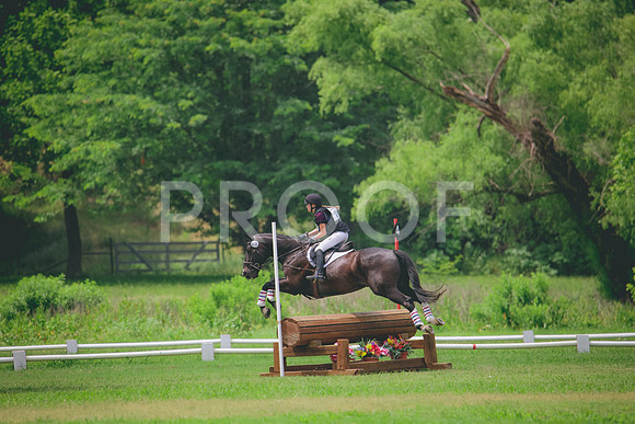 RWP_1309