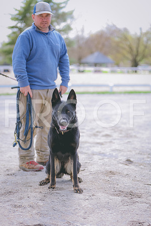 3T5A3750