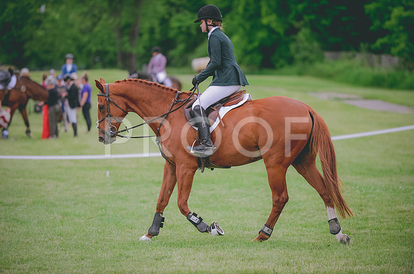 JJS_1406
