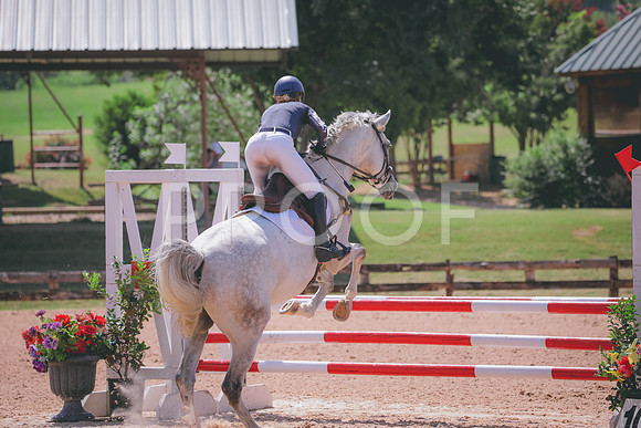 RWP_5163