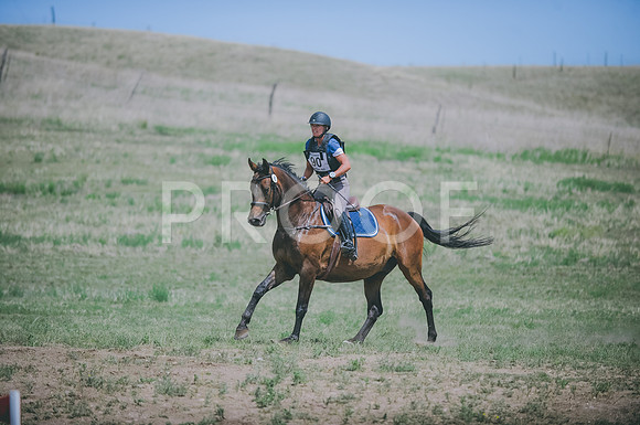 JJS_0779