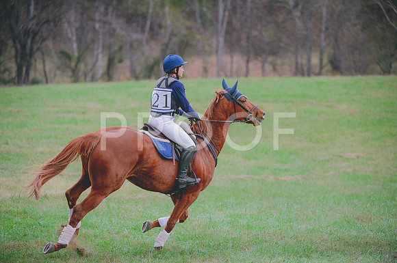 JJS_0008A