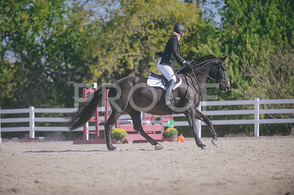JJS_1586
