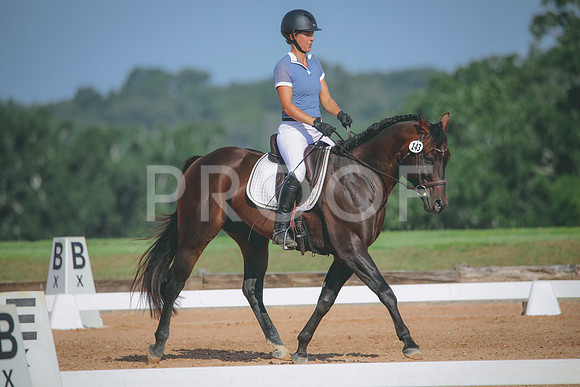 RWP_4612