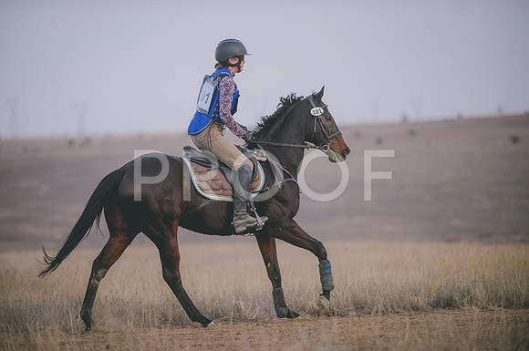 JJS_6350