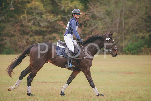 RWP_3641