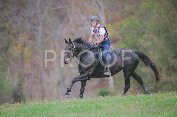 JJS_1194A