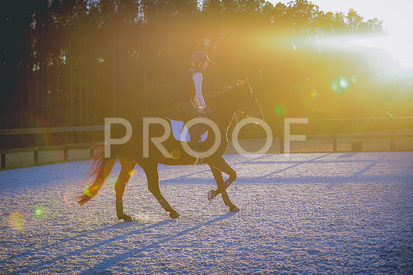 JJS_3454