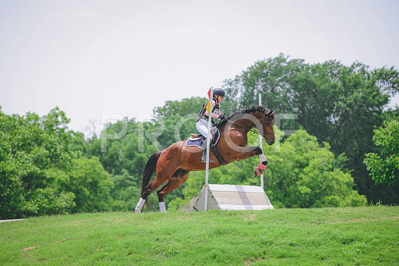 RWP_3534