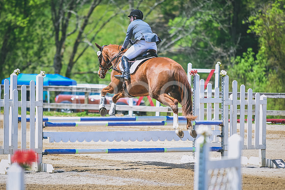 DSC_1954
