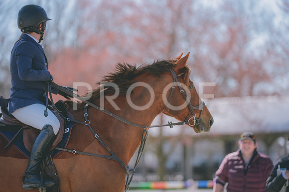 JJS_8483