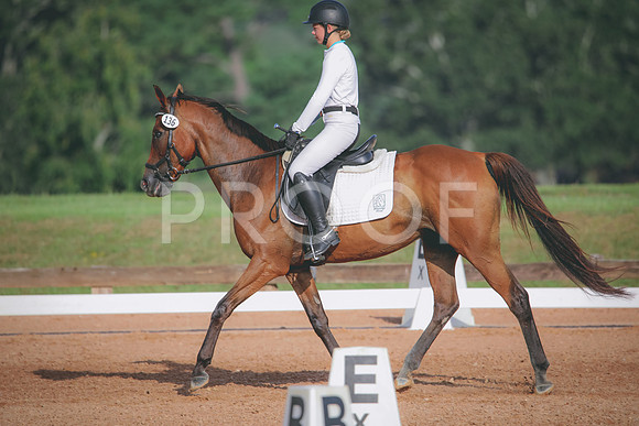 RWP_4448