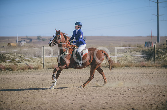 JJS_0394