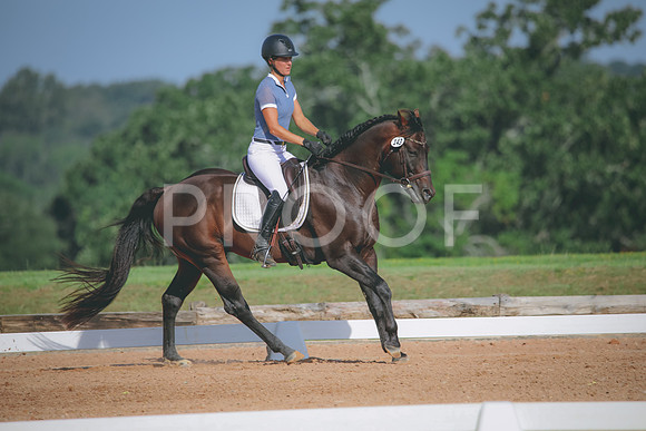 RWP_4607