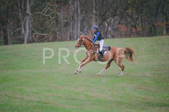 JJS_0240