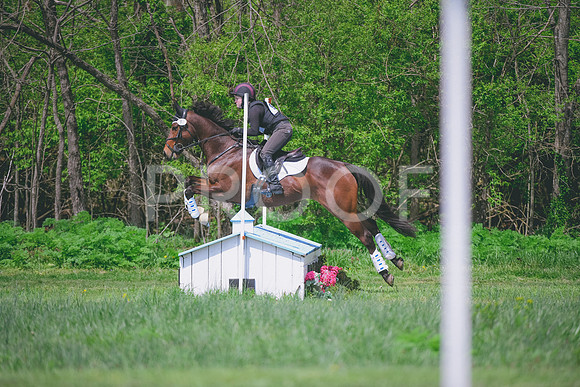 DSC_4198