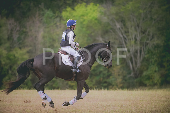 JJS_2407