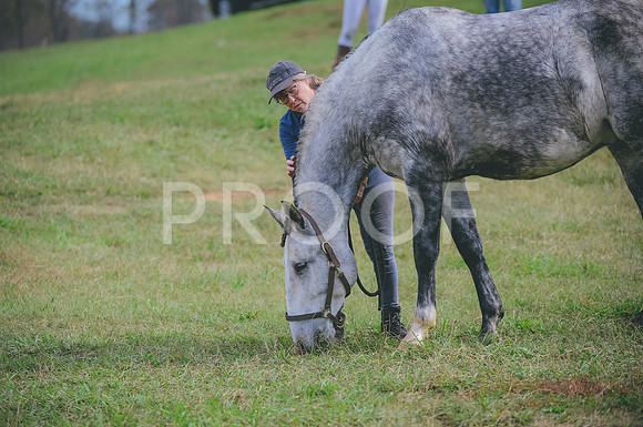 JJS_0307
