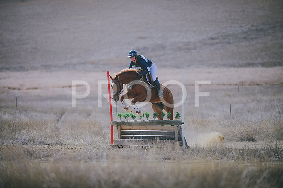 JJS_0247