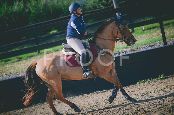 JJS_7368