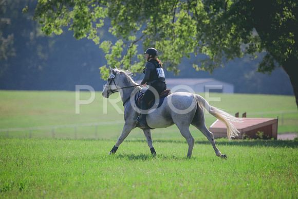 RWP_6366