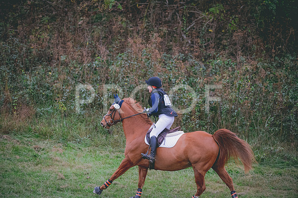 JJS_4179