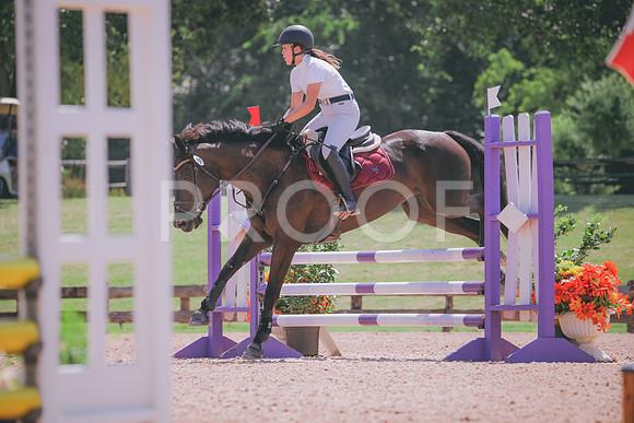 RWP_5295