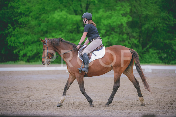 JJS_1175