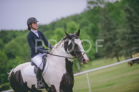JJS_5207