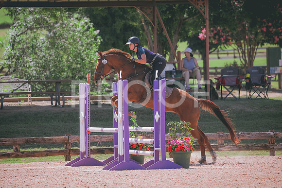 RWP_5217