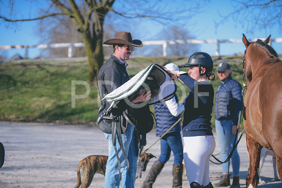 JJS_2878