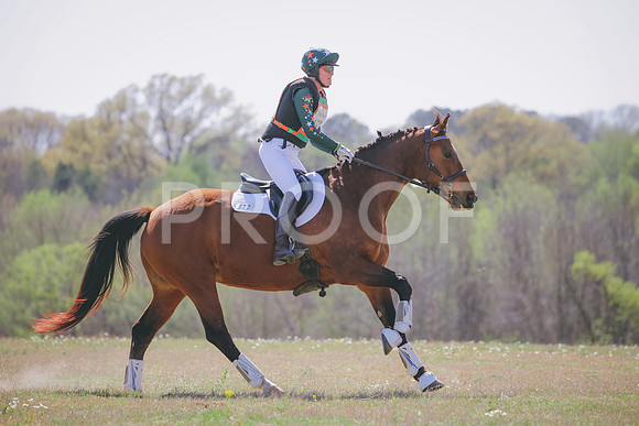 RWP_1376