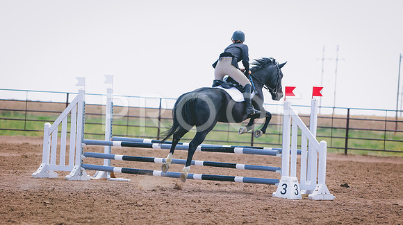 0N0A5353