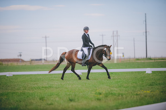 JJS_0296