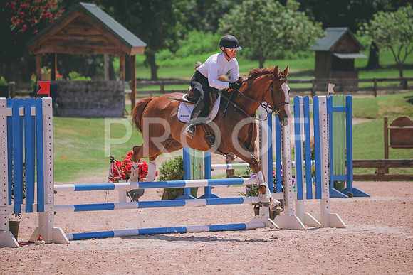 RWP_5598