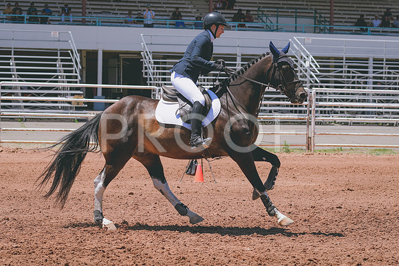 DSC_8193A