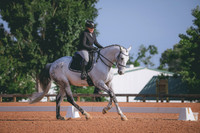 RWP_3813